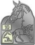 RA10 Reitabzeichen 10