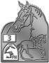RA3 Reitabzeichen 3