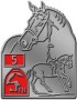 RA5 Reitabzeichen 5