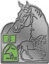 RA8 Reitabzeichen 8