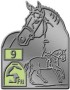 RA9 Reitabzeichen 9